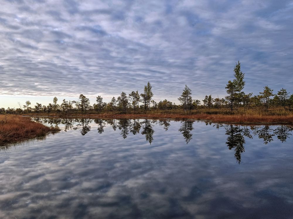 Photograph by Rolandas Valančauskas