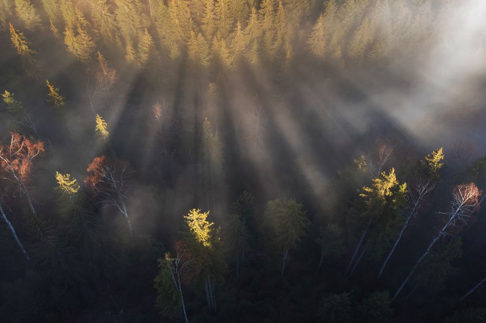 Photograph by Alex Coman