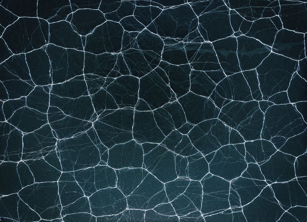 Photograph by Igor Yurkin