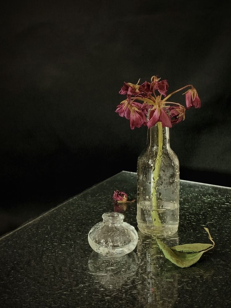 Photograph by Татьяна Семёнова