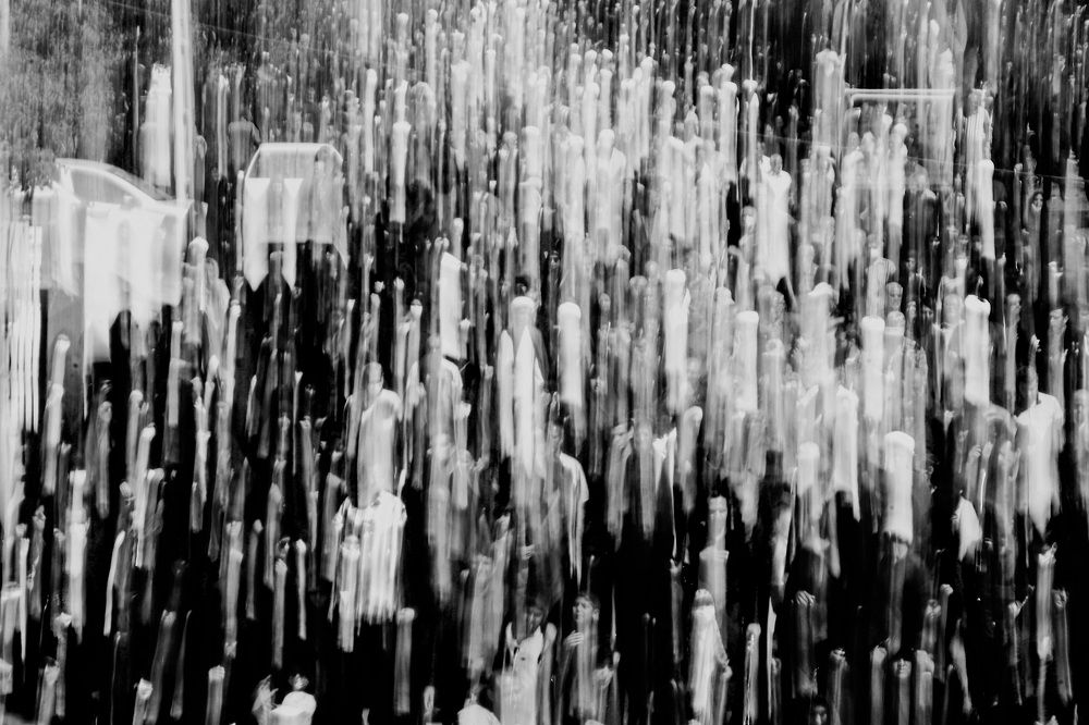 Photograph by safoura asghari