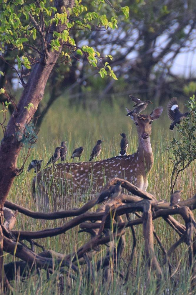 Photograph by Saikat De