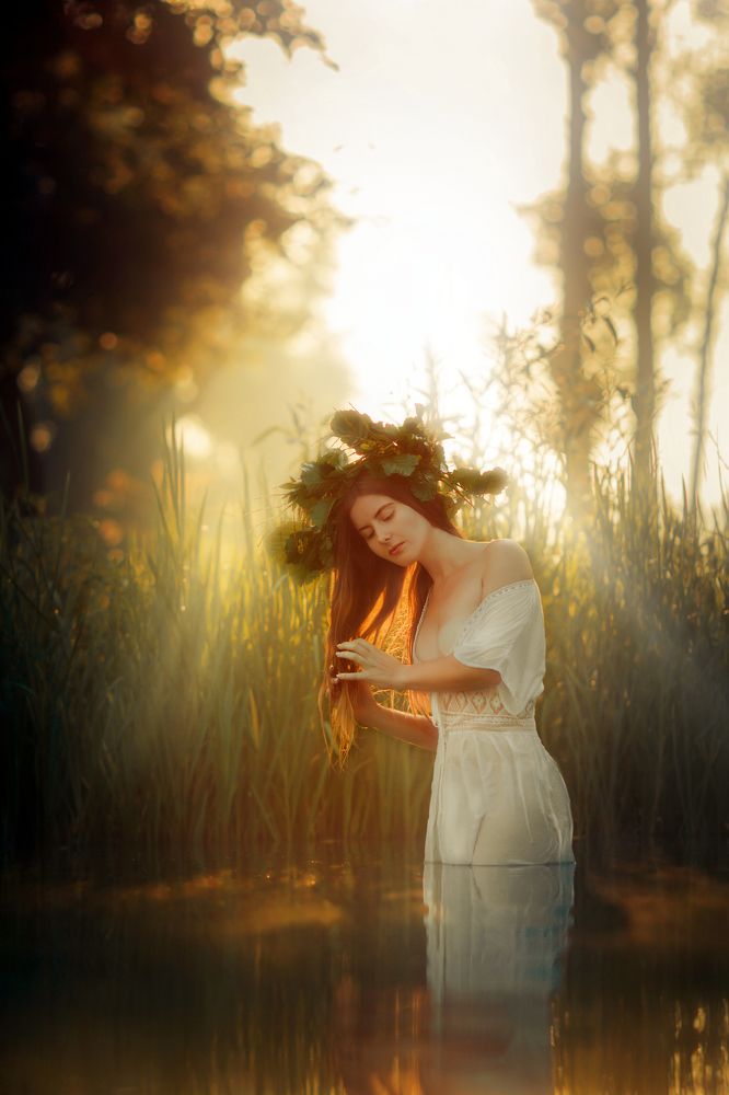 Фотография автора Георгий Шамков