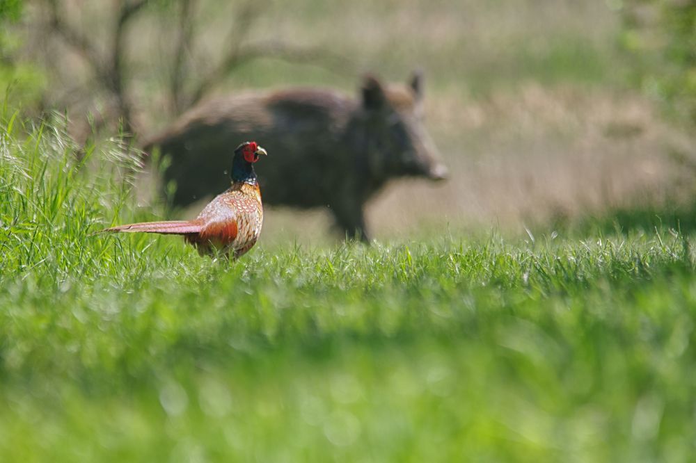 Photograph by Bartosz Adamowski