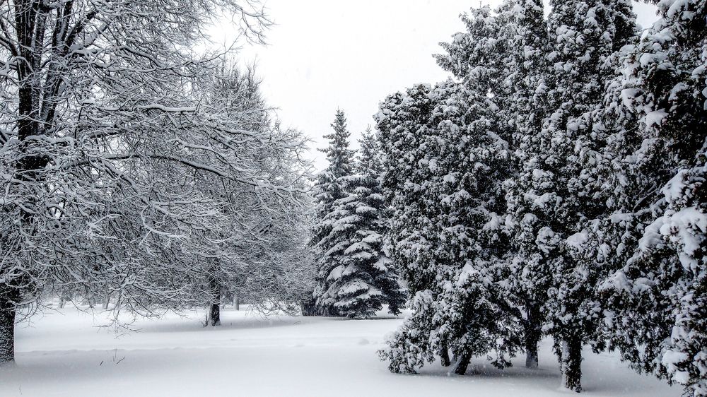 Photograph by Cергей Иванов