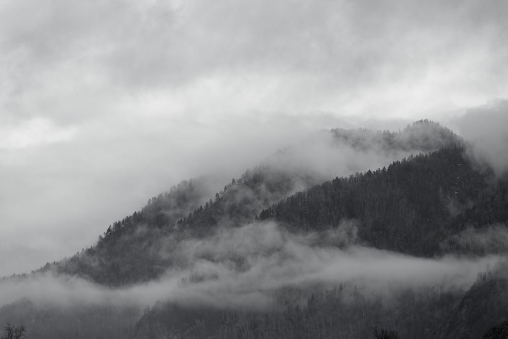 Photograph by Михаил Рогачев