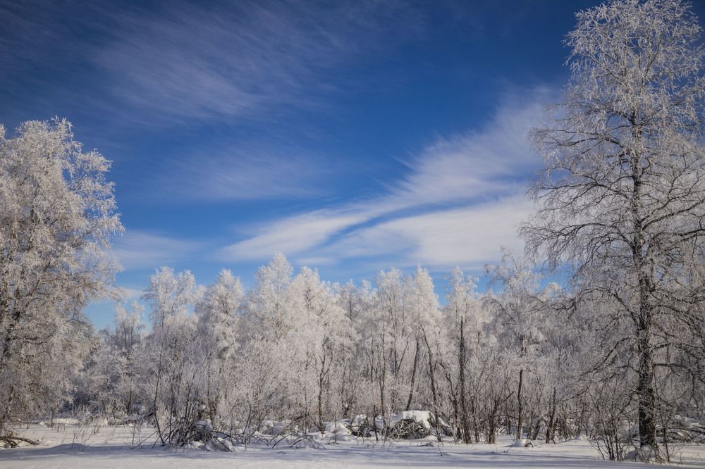 Photograph by Елена Перминова