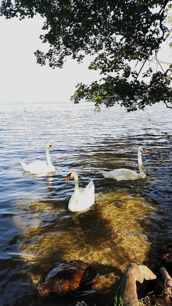 Photograph by Елизавета Иванова