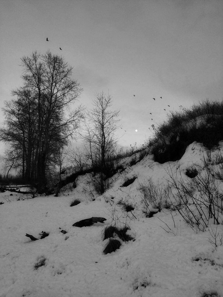 Photograph by Юлия Смирнова