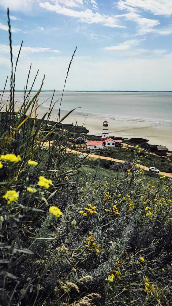 Photograph by Елена Сячина