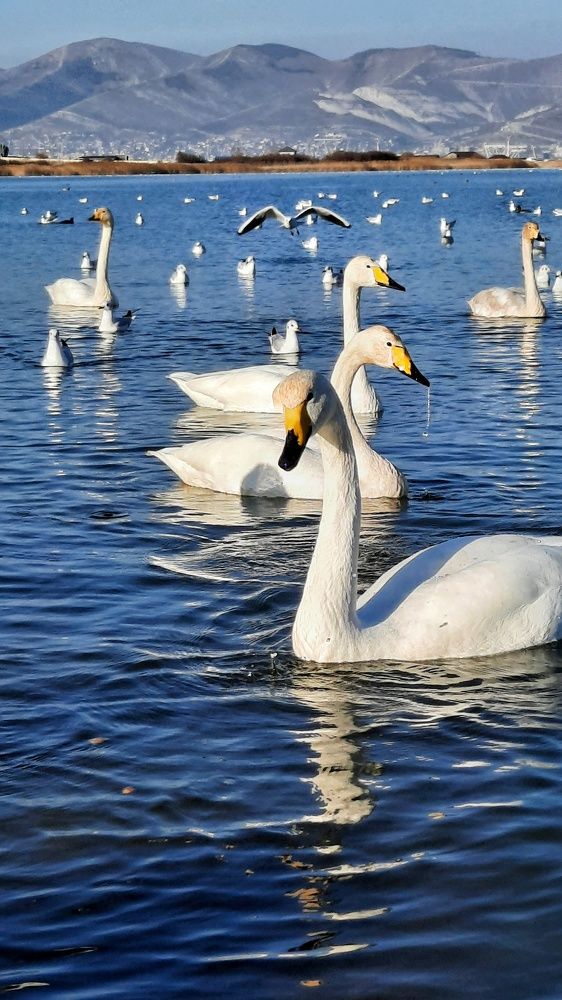 Photograph by Татьяна Григорчук