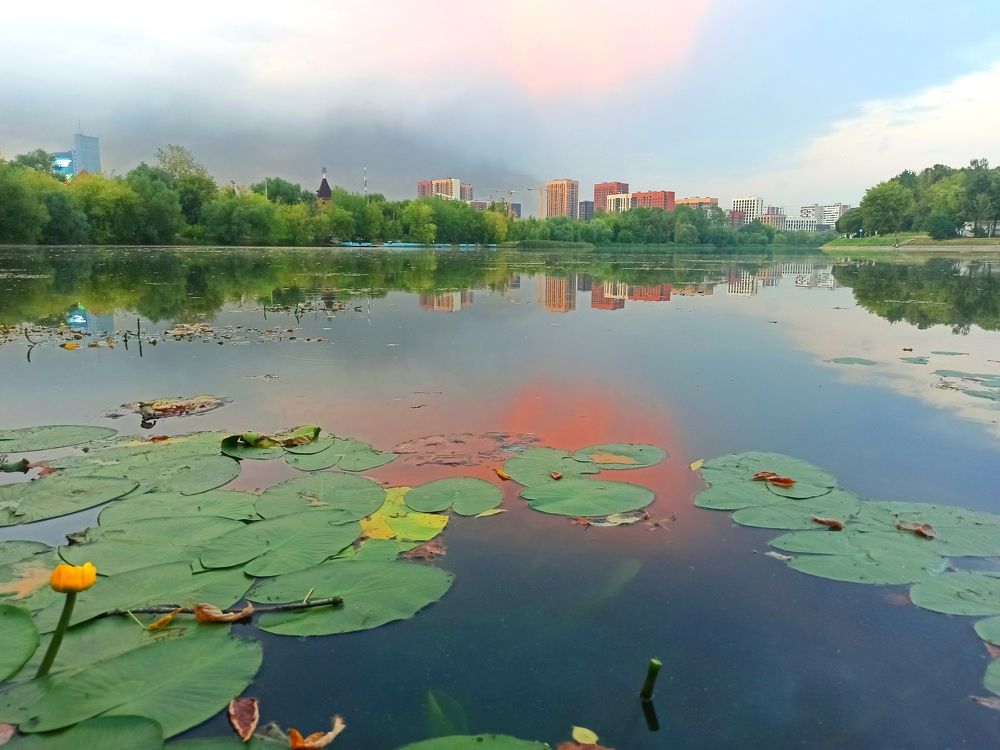 Photograph by Мария Тюленева