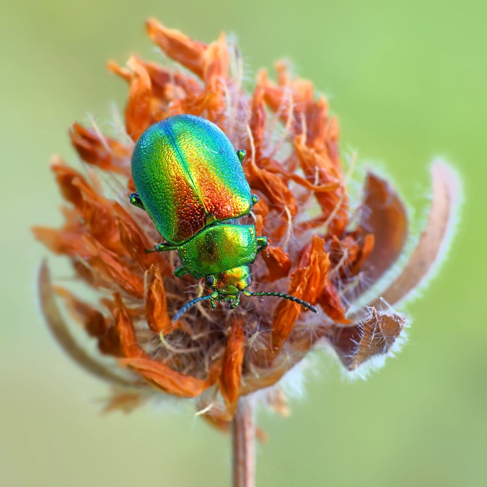 Photograph by Павел Колеснев