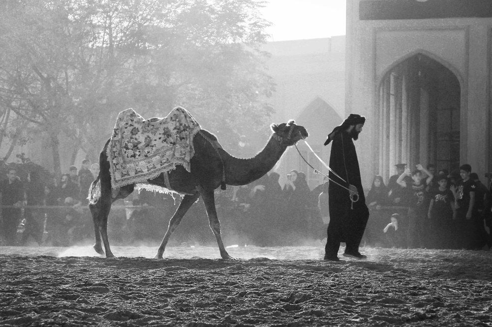 Photograph by safoura asghari