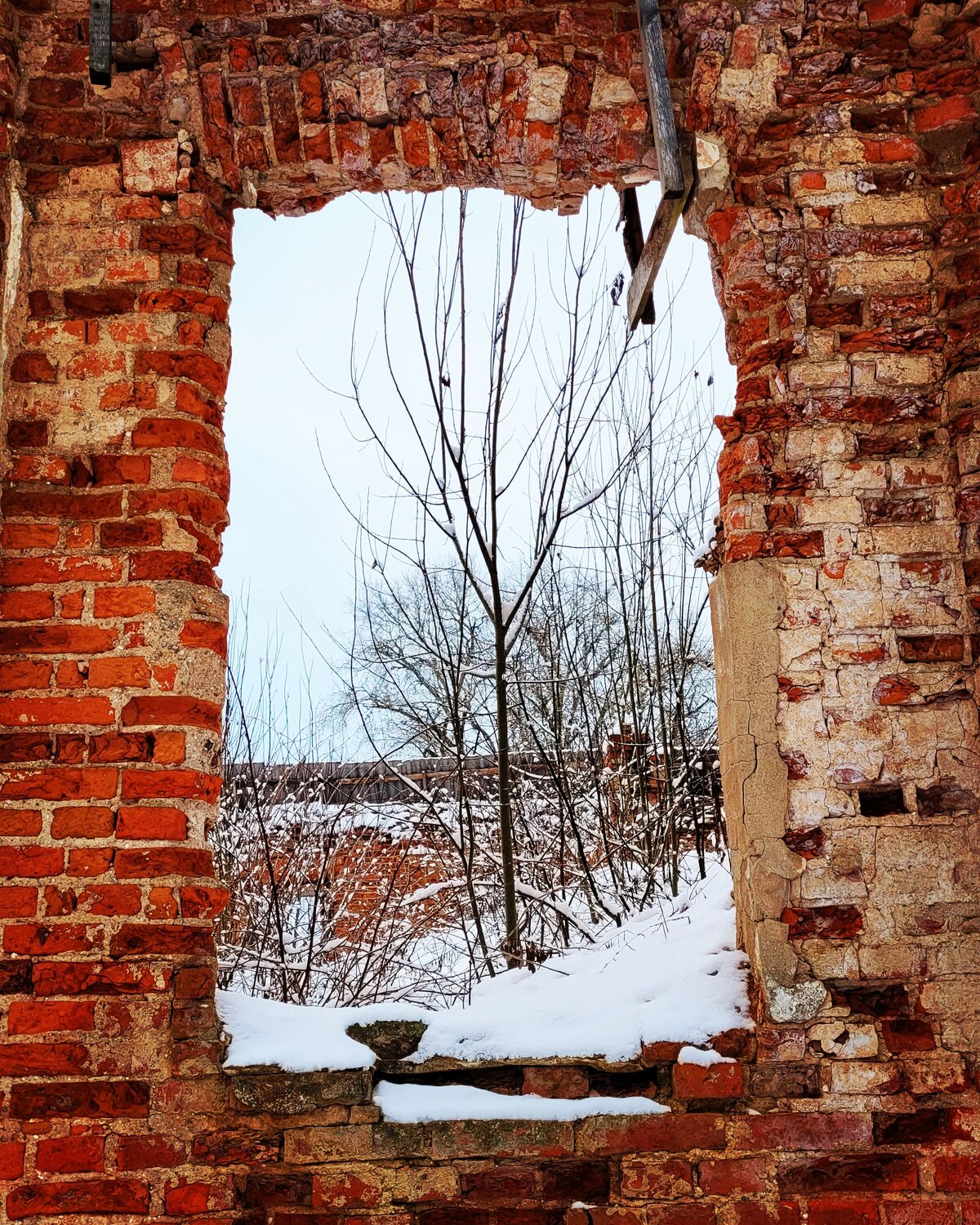 Photo #8897382