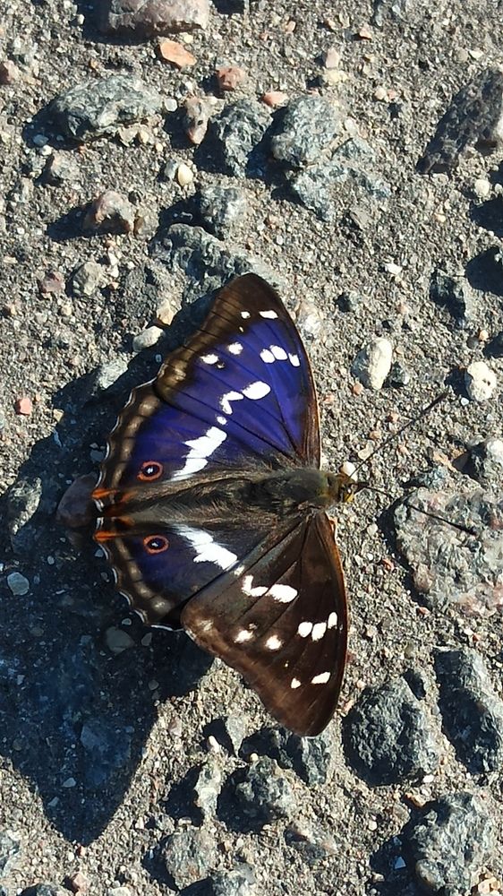 Photograph by Людмила Щуцкая