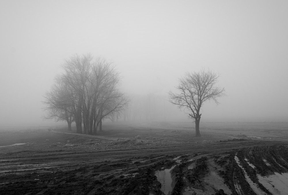 Photograph by Reza Heydari
