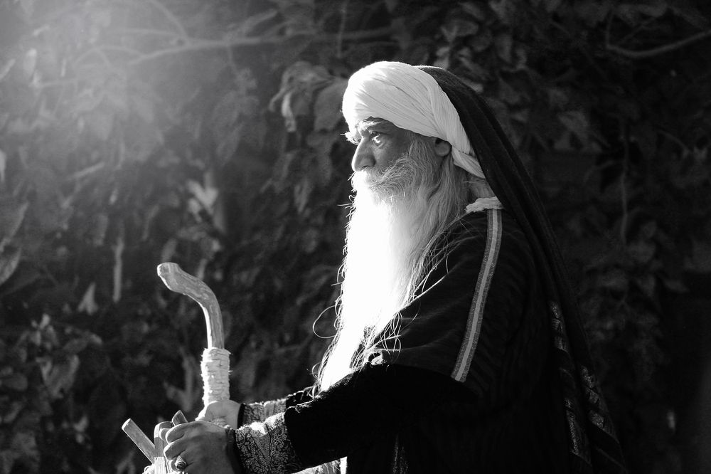 Photograph by safoura asghari