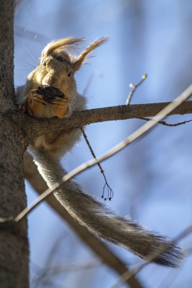 Photograph by Игорь Круглов