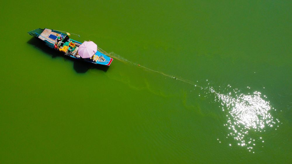 Photograph by Phuong Nguyen