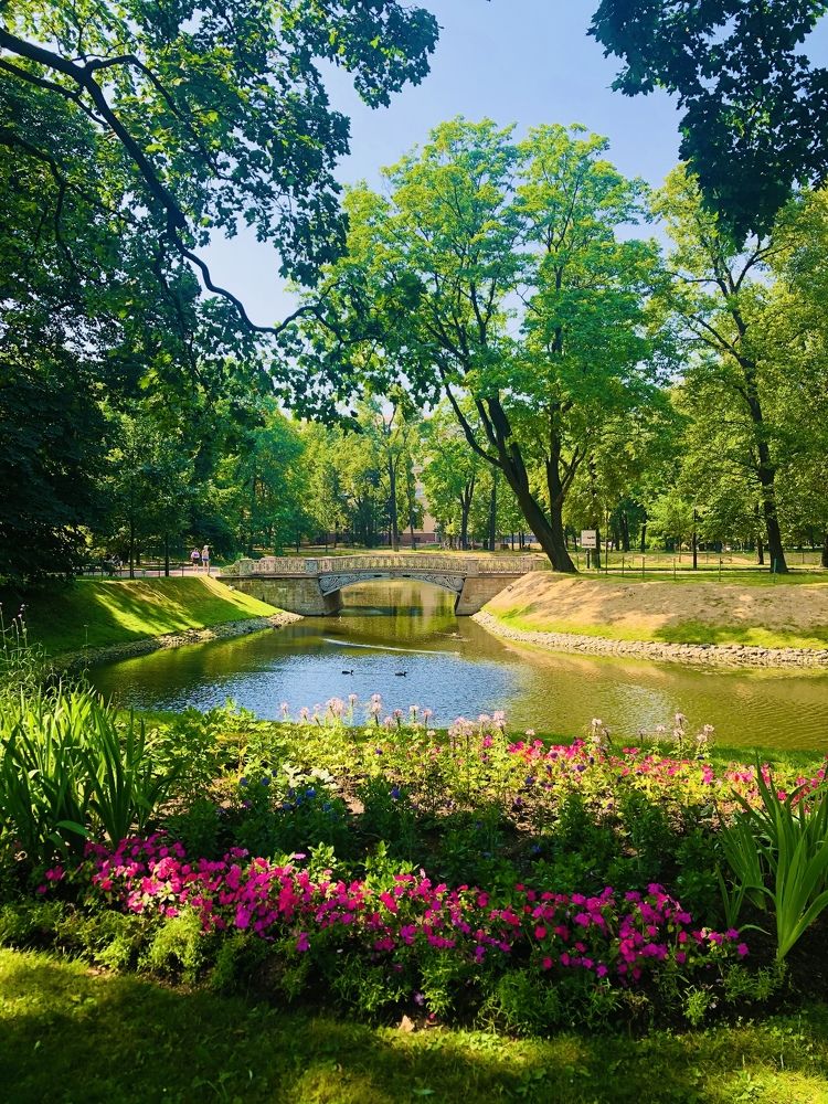 Photograph by Ольга