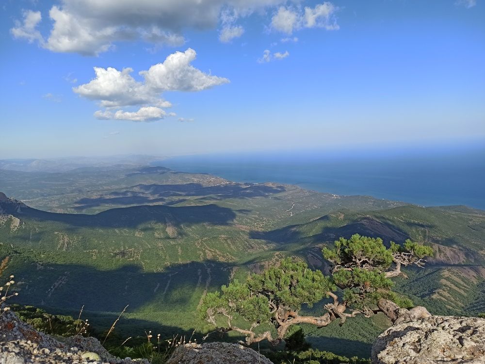 Photograph by Мария Тюленева