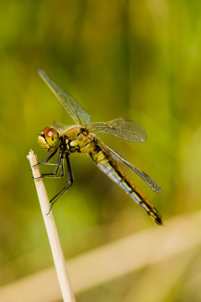 Фотография автора Aleksandr Kadyshev
