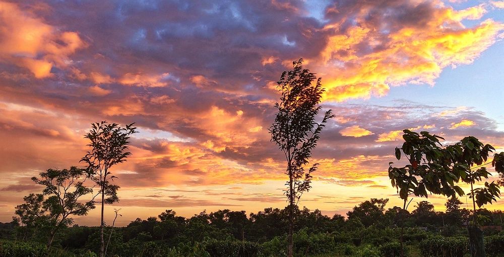 Photograph by SRIMANTA RAY