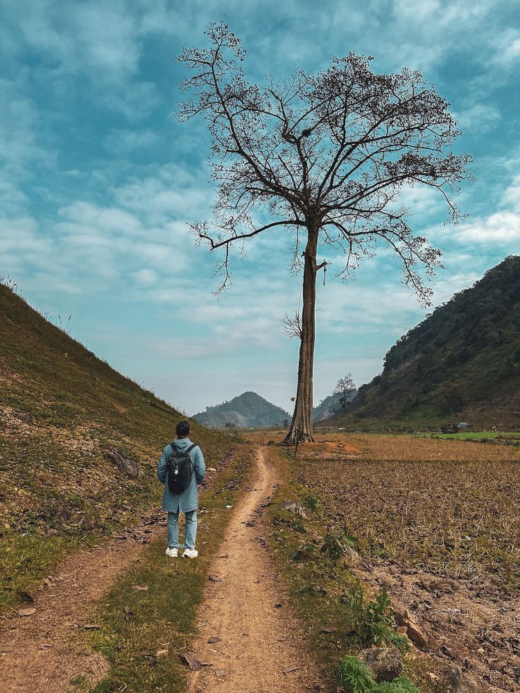 Photograph by Hoai Anh Dang