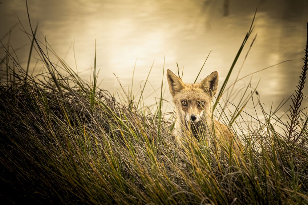 Photograph by Amelia Pardo