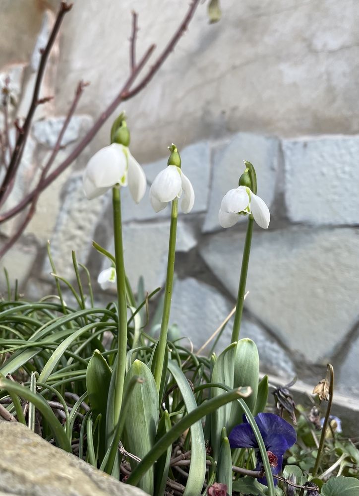 Photograph by Татьяна