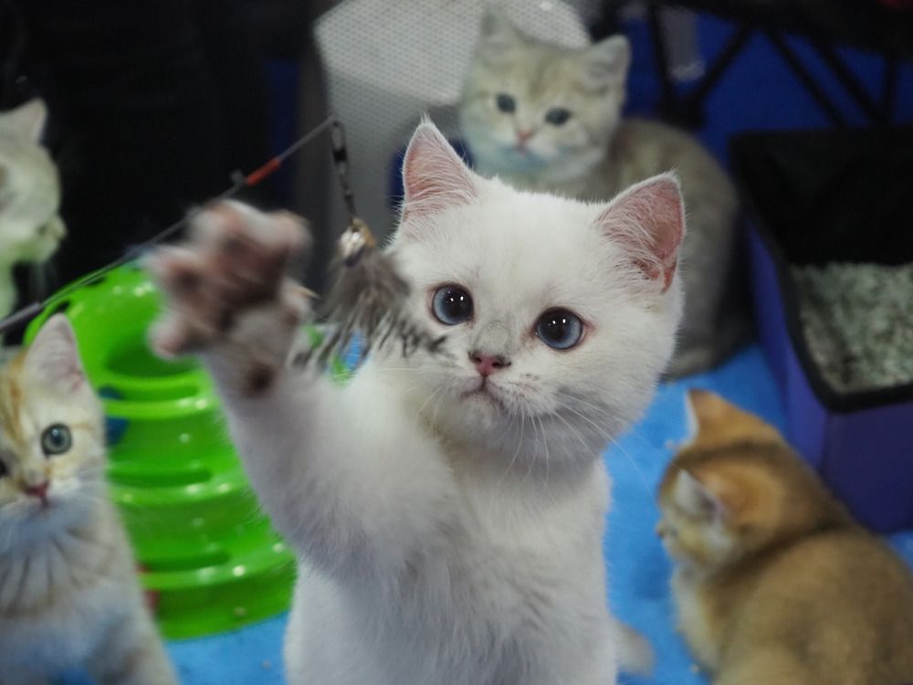 Photograph by Сергей Тузлуков