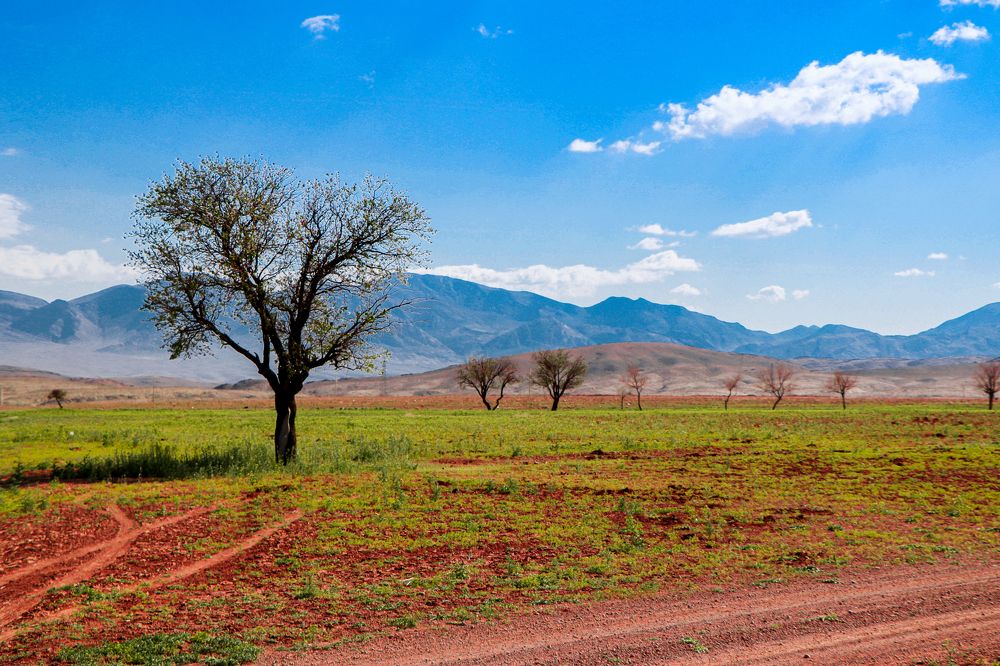 Фотография автора mohammad aref zohrabi