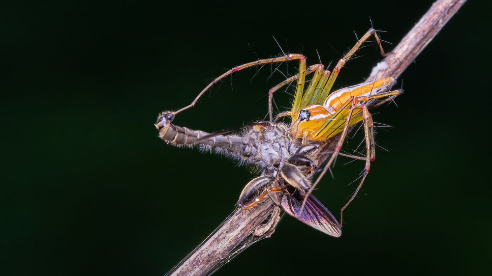 Photograph by VINOD KUMAR V K