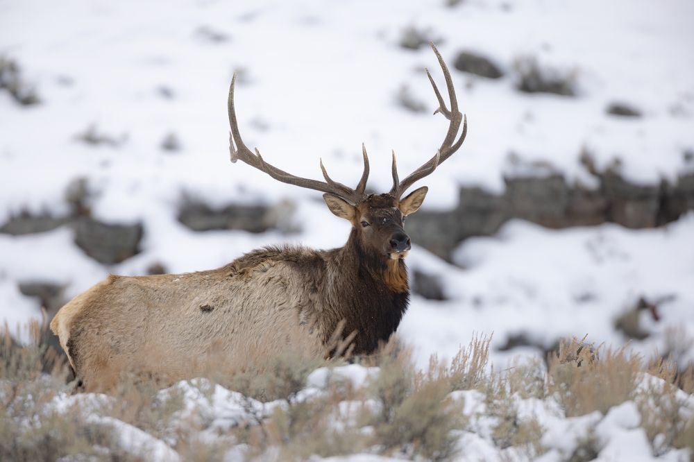 Photograph by Dane Madsen