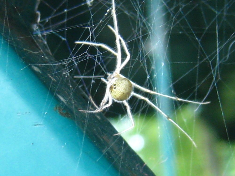 Photograph by Алексей Малеев