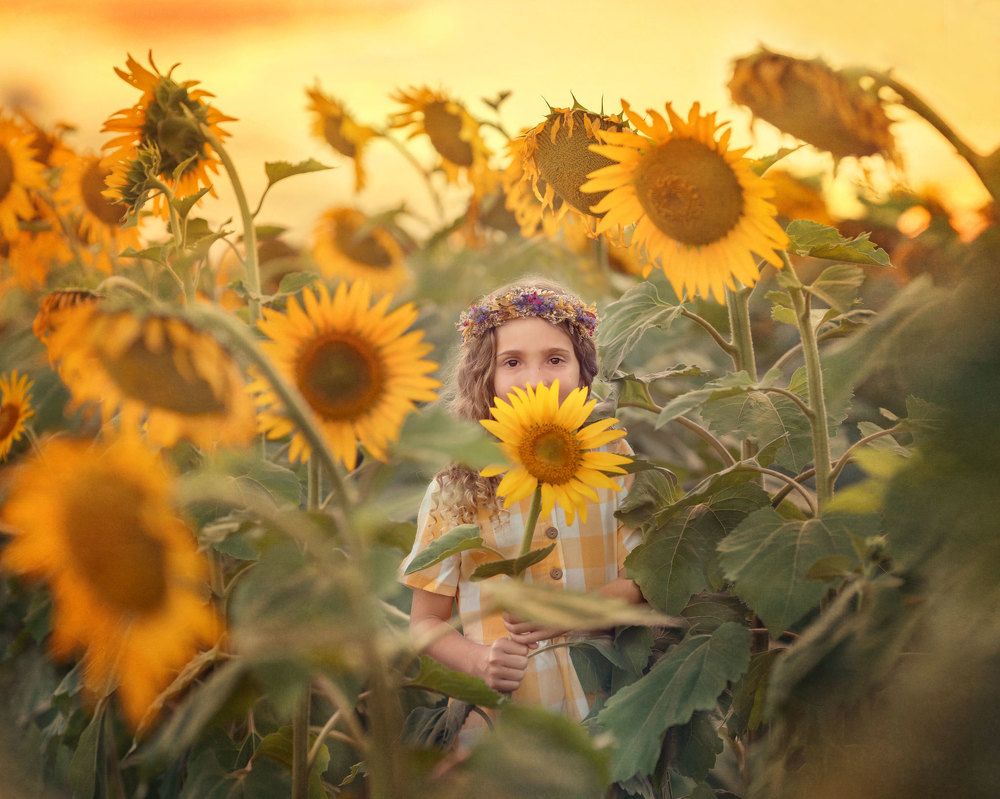 Photograph by Angie Perisse