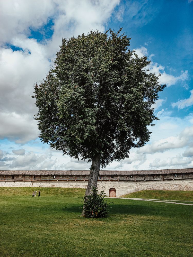 Photograph by Мария Добычина