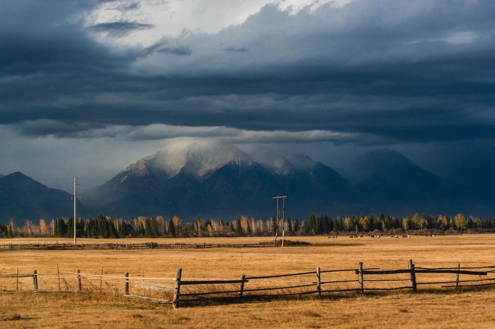 Фотография автора Анастасия Шахотская