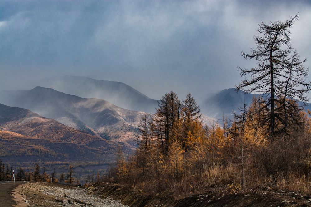 Фотография автора Анастасия Шахотская