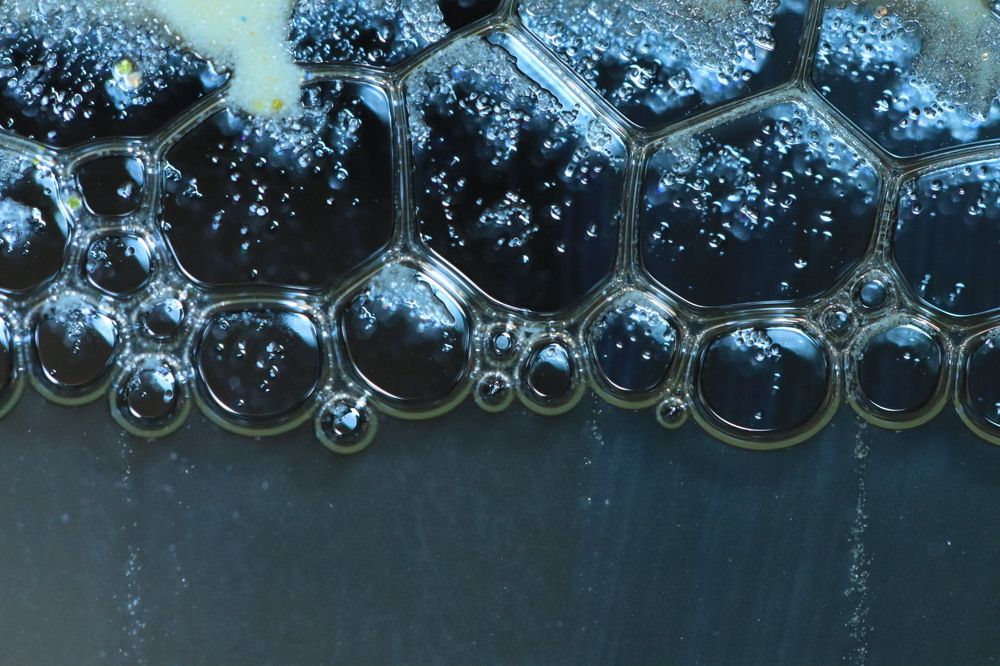 Photograph by Lina Tomkevičienė