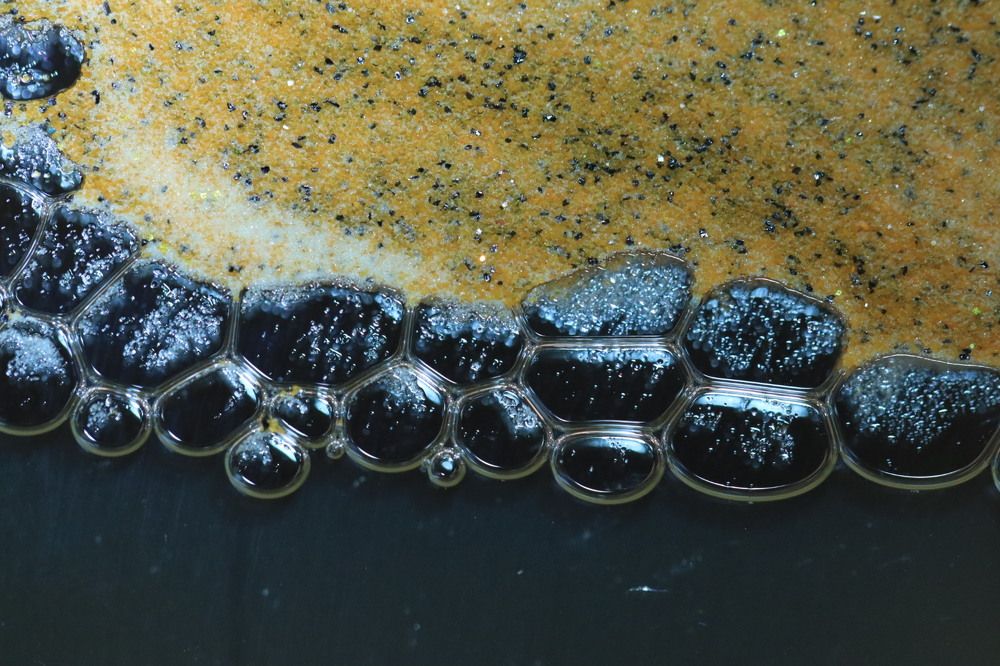 Photograph by Lina Tomkevičienė