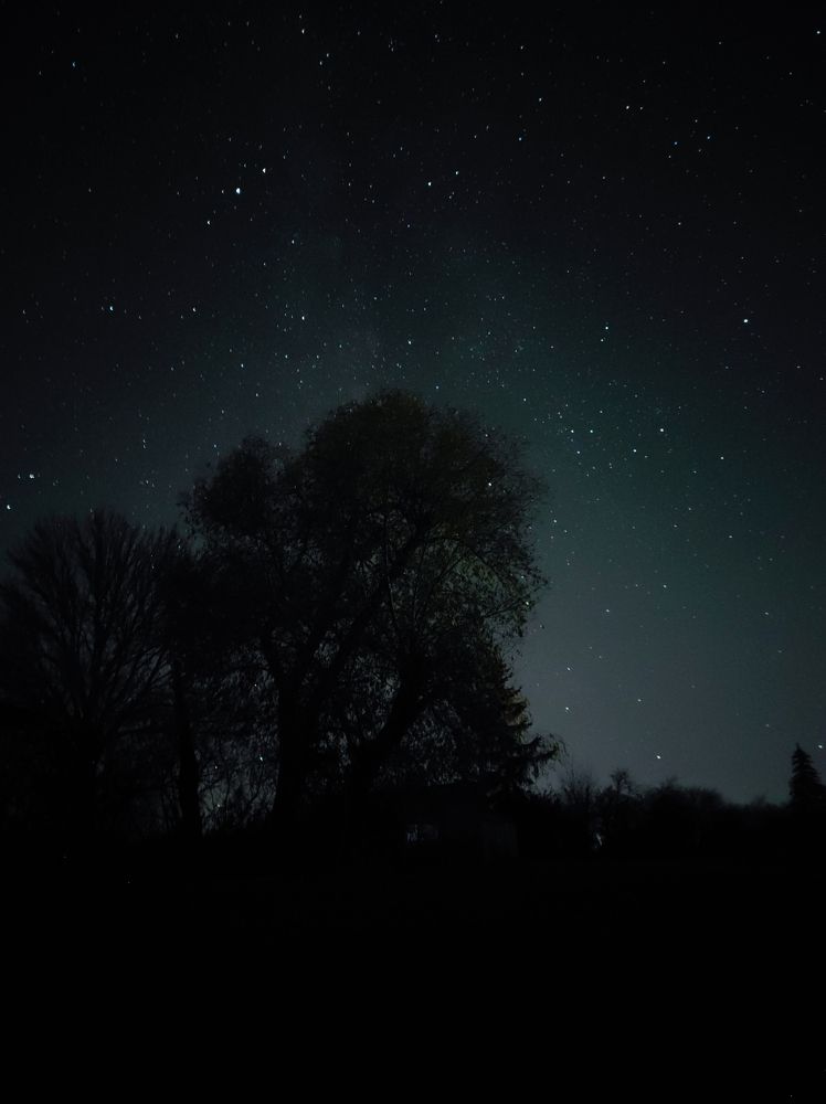 Photograph by Максим Пономарев