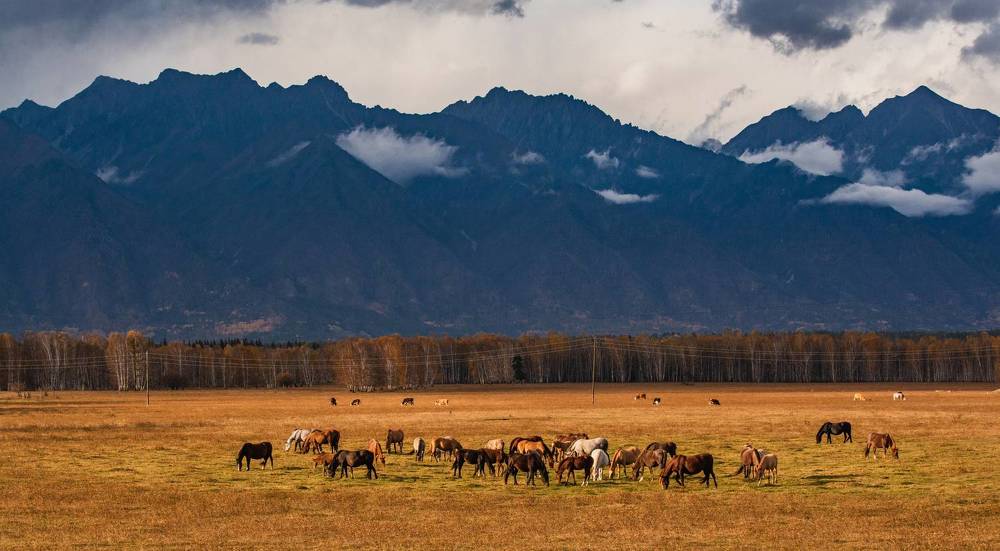 Осенняя Бурятия