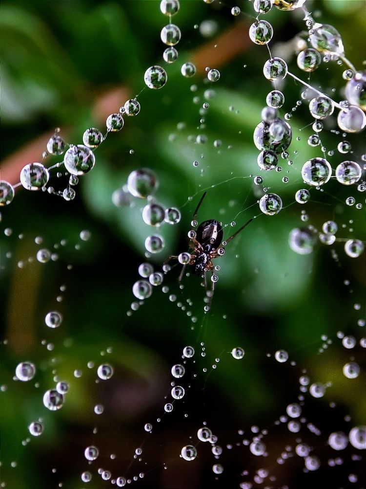 Photograph by Юлия