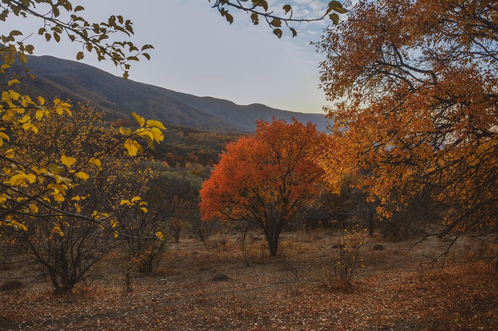 Photograph by Чипочанов Владислав