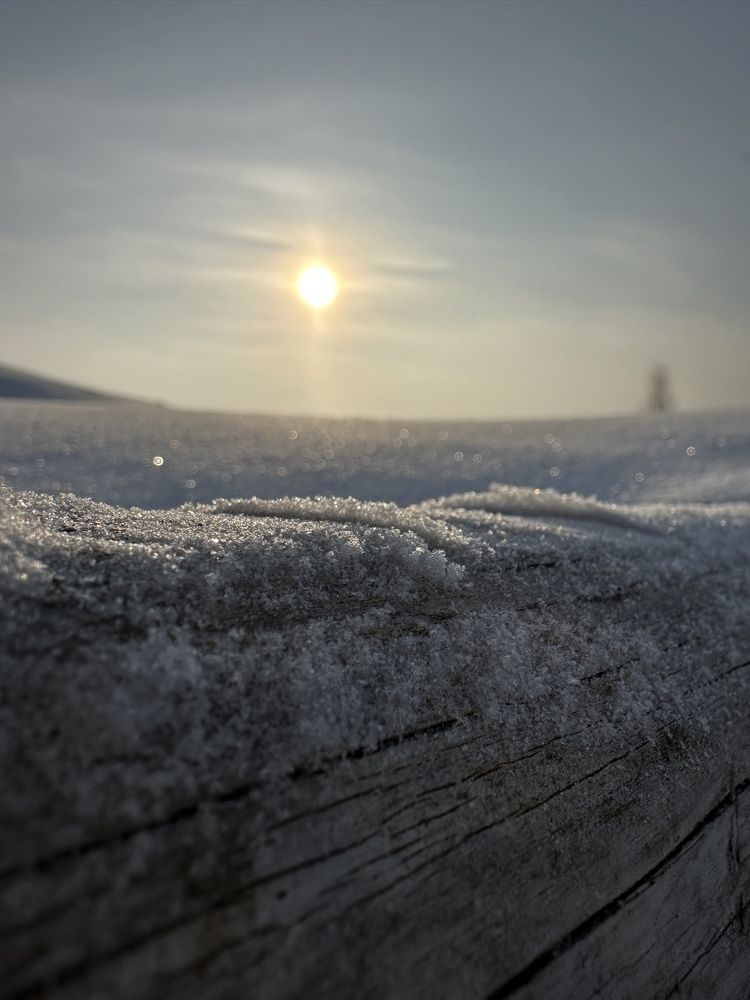 Photograph by Григорий Лыжин