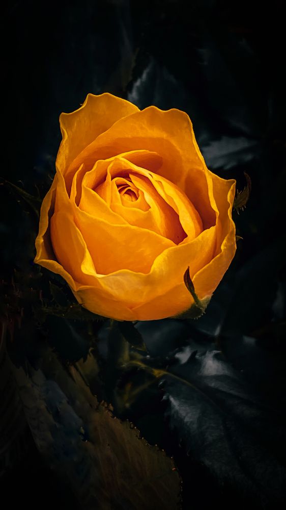 Photograph by Дмитрий Фадеев