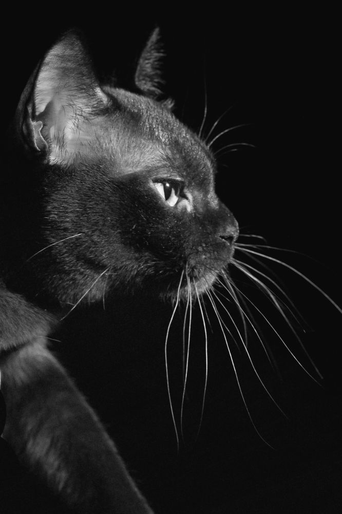 Photograph by Анастасия Богатова