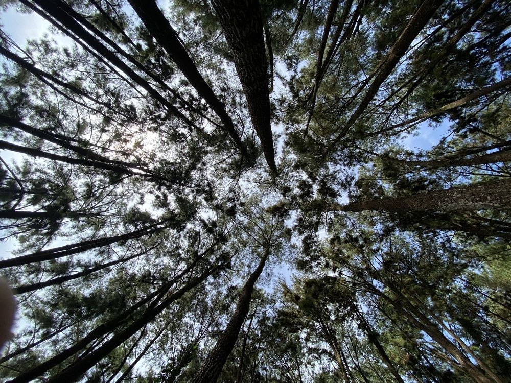 Photograph by bahrul elmi